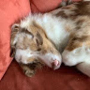 Meet your Posher, Naomi